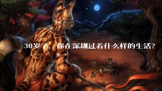 30岁了，你在深圳过着什么样的生活？